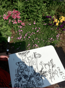 1st Garden sketches